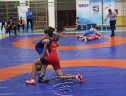 IMG_1988