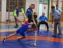 IMG_2229