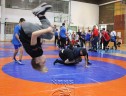 IMG_2237