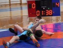 IMG_2229