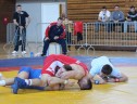 IMG_2925
