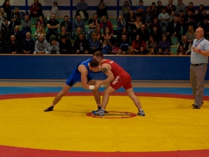VIND-SKR-20140216